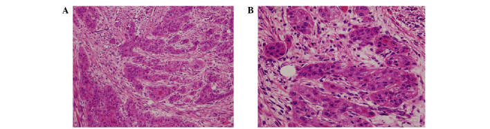 Figure 10.