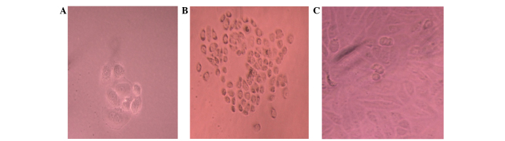 Figure 2.