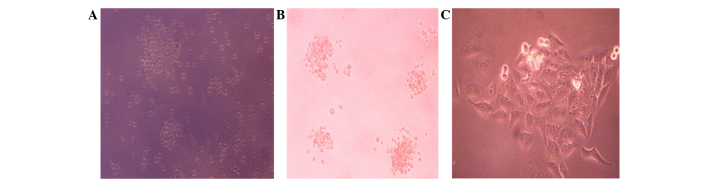 Figure 3.