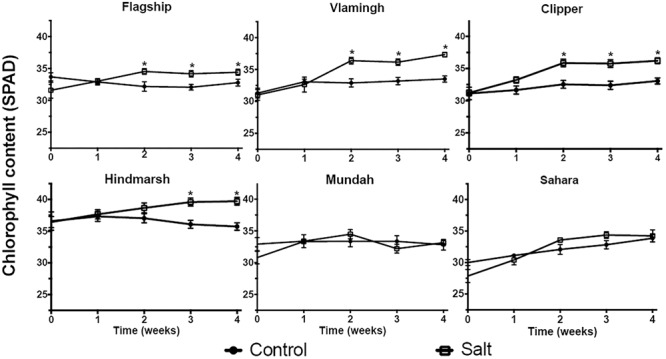 FIGURE 4