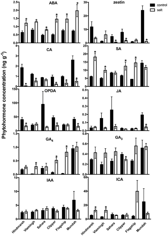 FIGURE 5