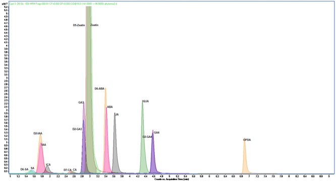 FIGURE 1