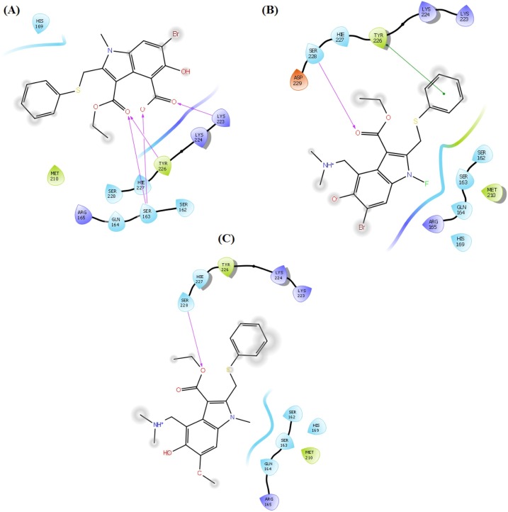 Fig. 7