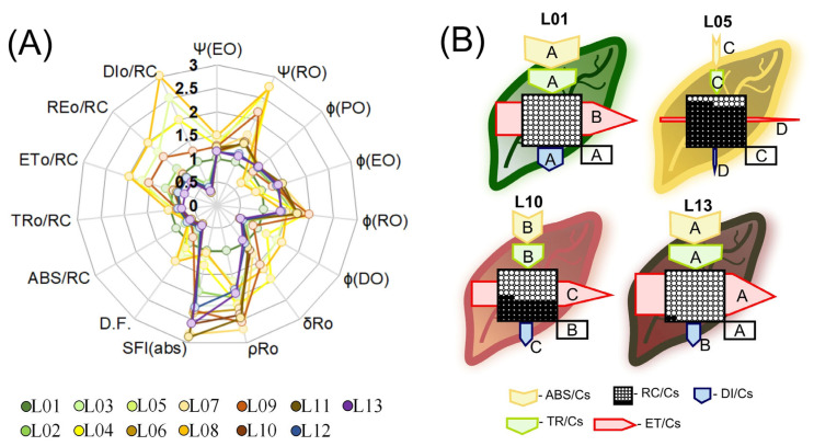 Figure 7