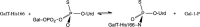 REACTION 7