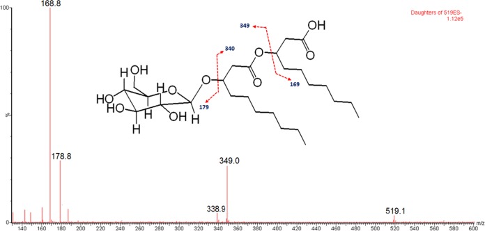 FIG 5 