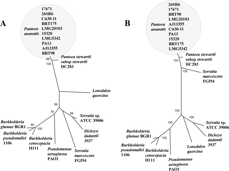 FIG 8 