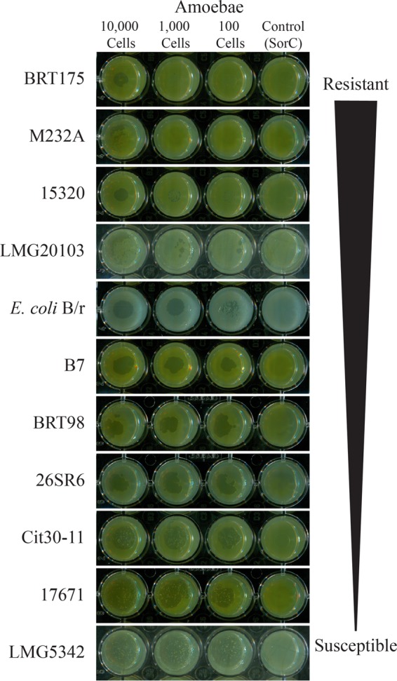 FIG 1 