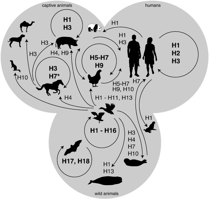 Fig. 1