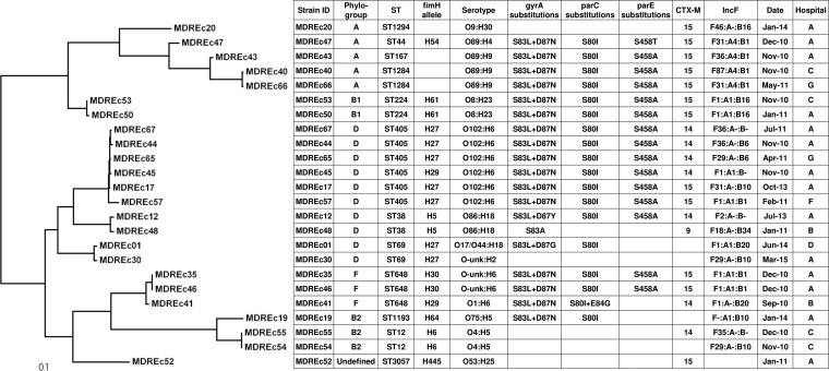 FIG 2