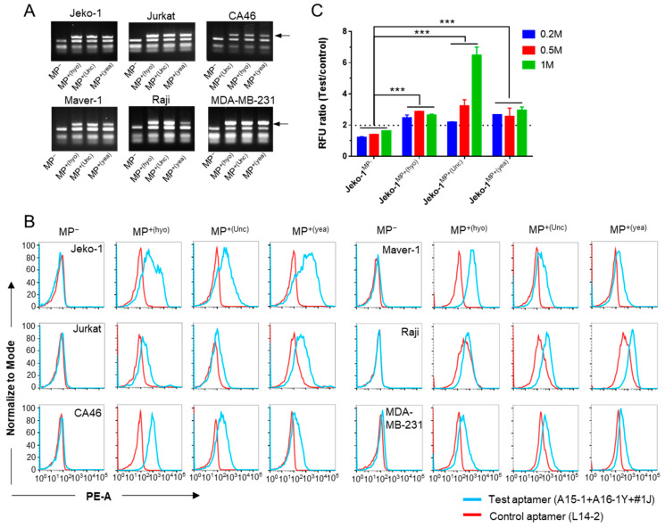 Figure 6