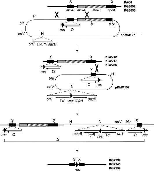 FIG. 1