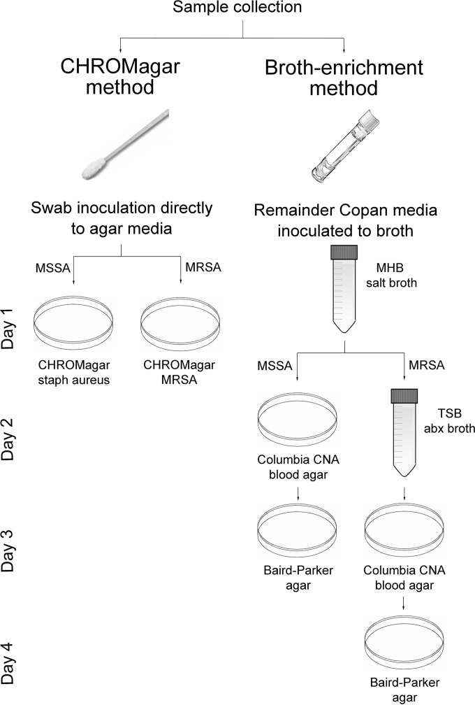 FIG 1