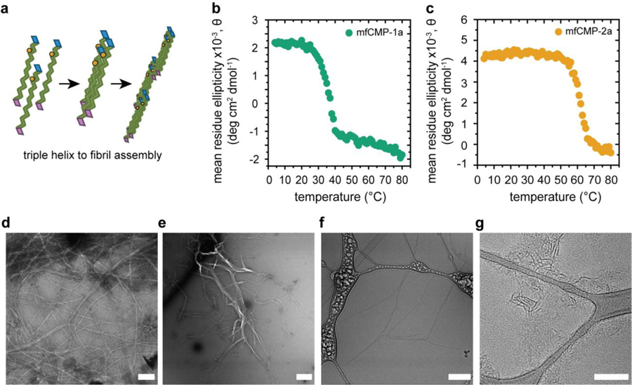 Fig. 2: