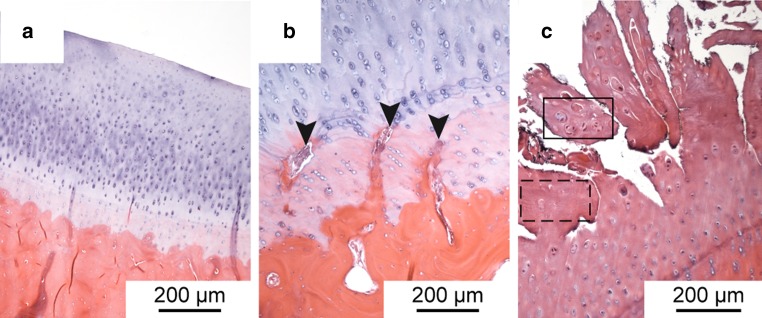 Fig. 8