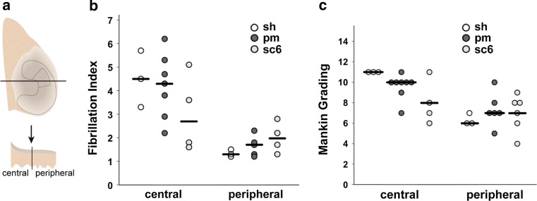 Fig. 9