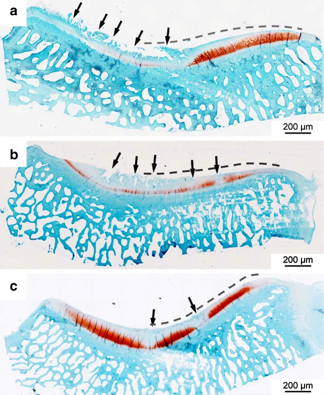 Fig. 7