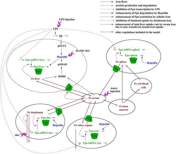 Fig 1