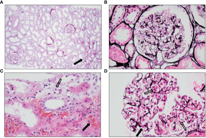 Figure 2