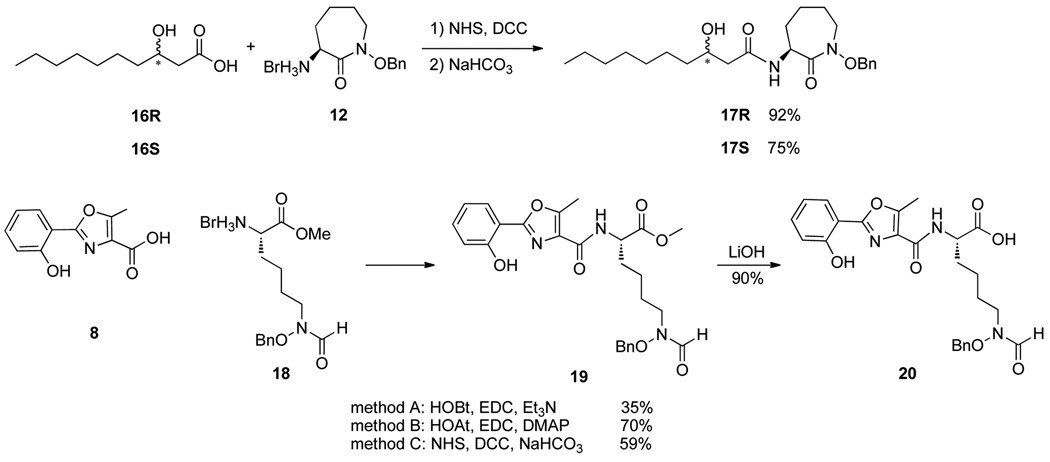 Scheme 2