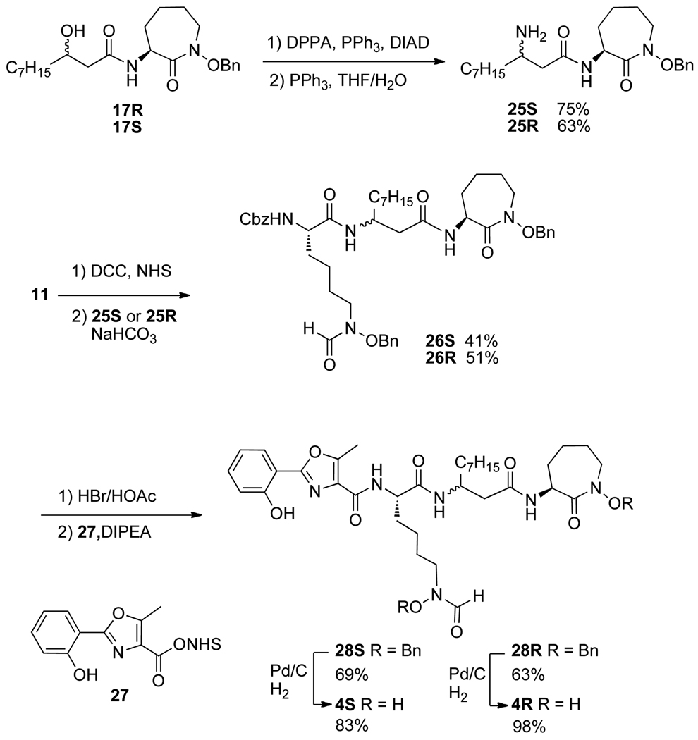 Scheme 4