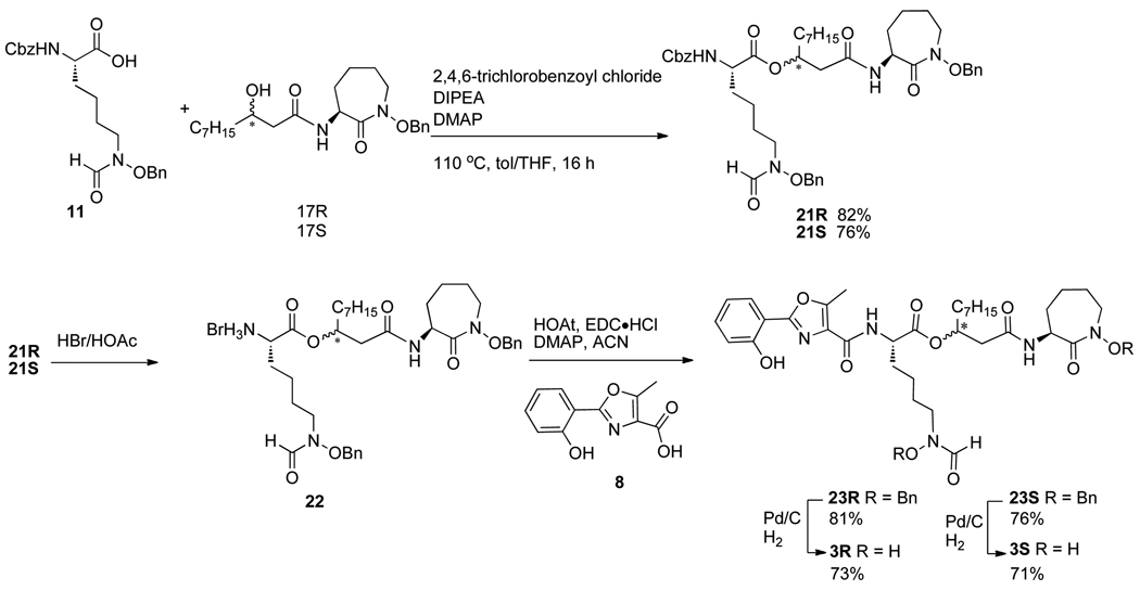 Scheme 3