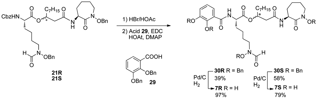 Scheme 5