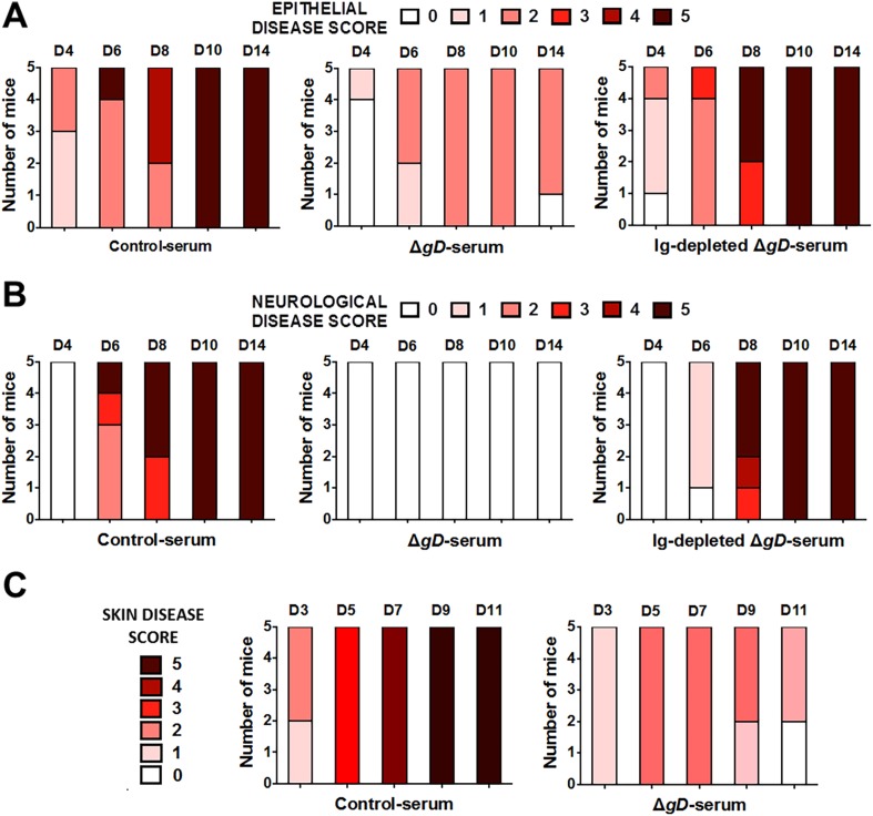 Figure 5—figure supplement 1.