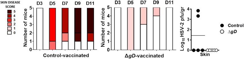 Figure 4—figure supplement 1.