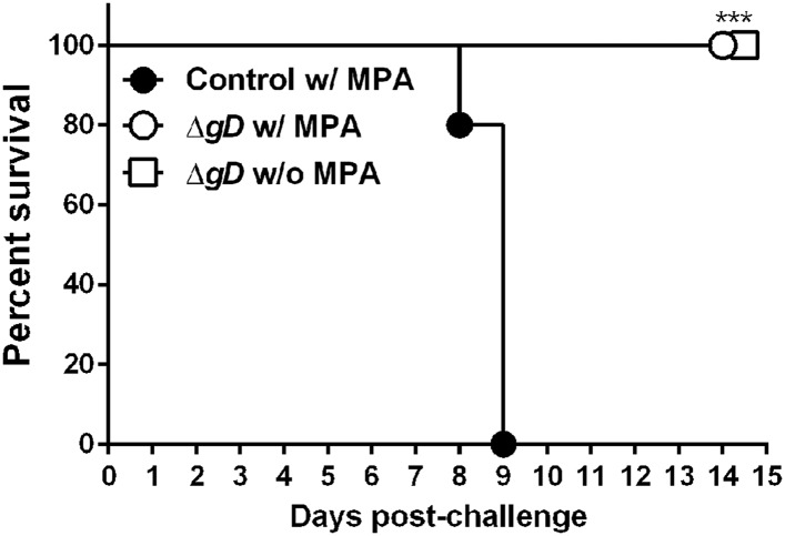 Figure 3—figure supplement 1.