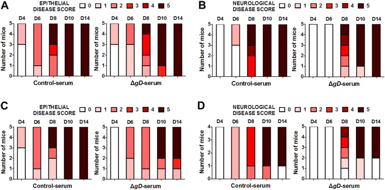 Figure 7—figure supplement 1.