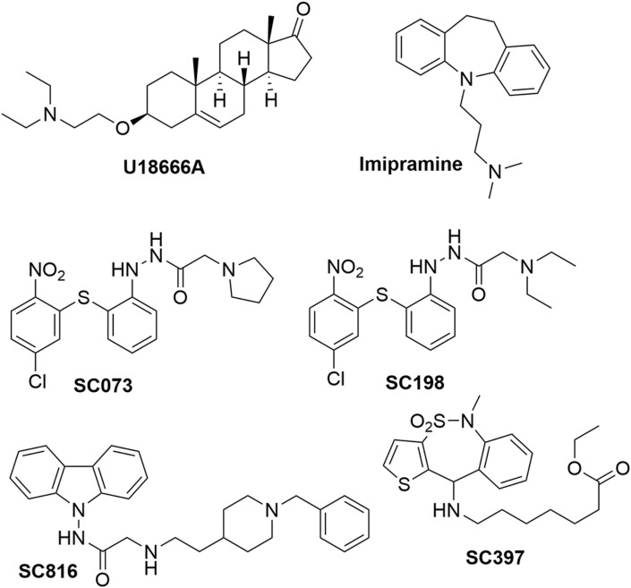 Fig. 2