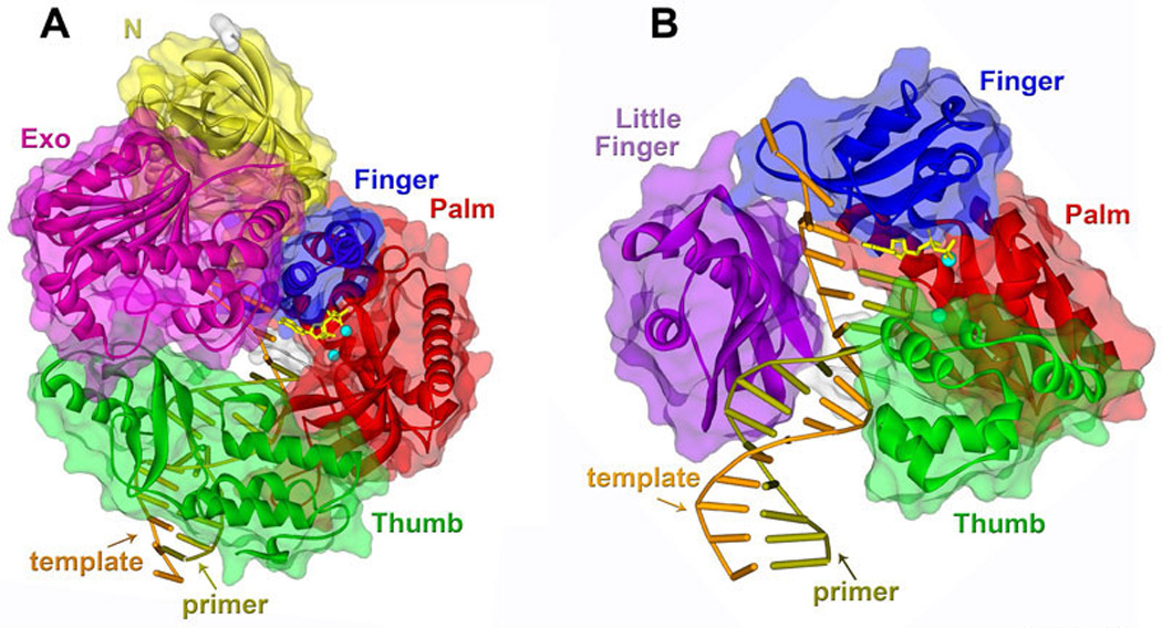 Figure 10