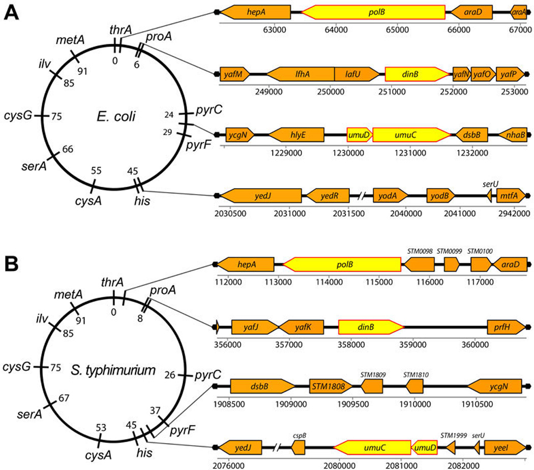 Figure 13