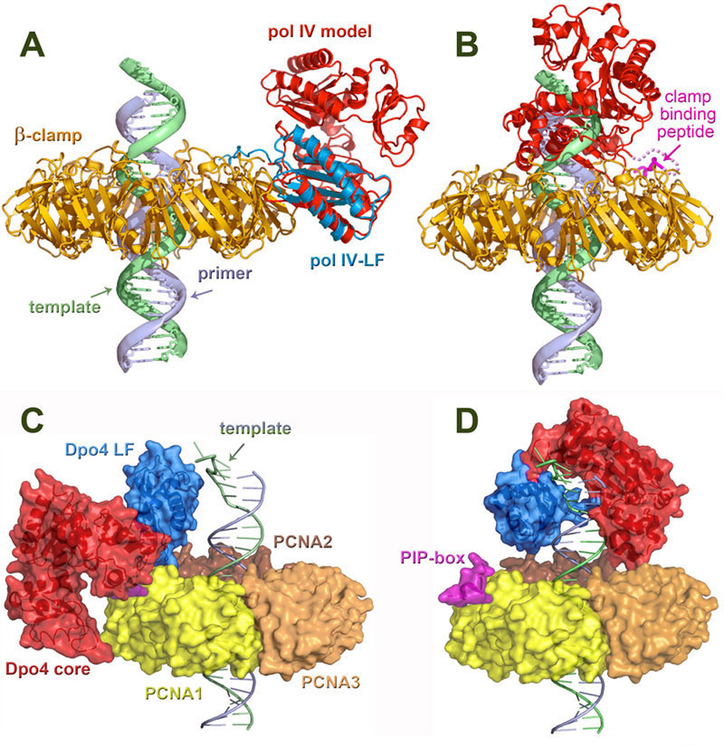 Figure 11