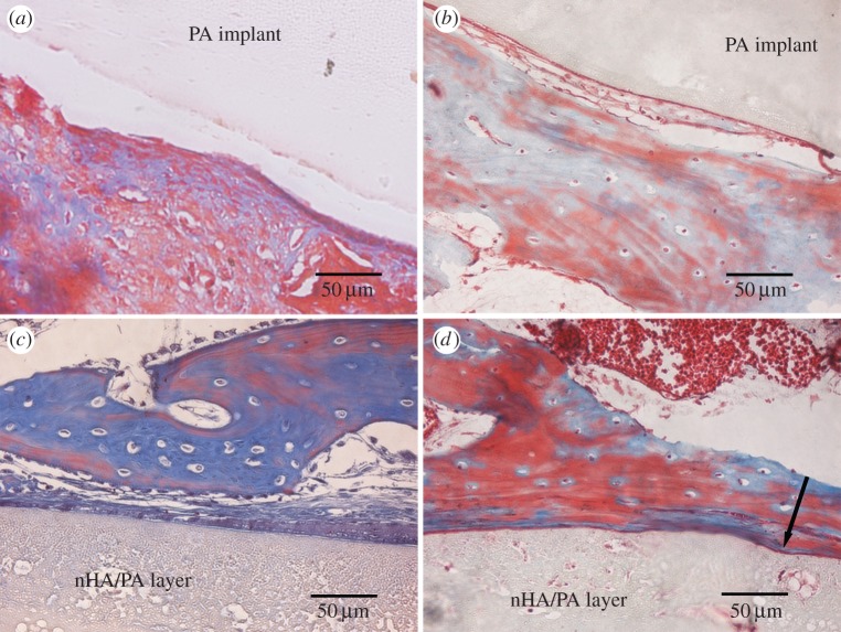 Figure 9.