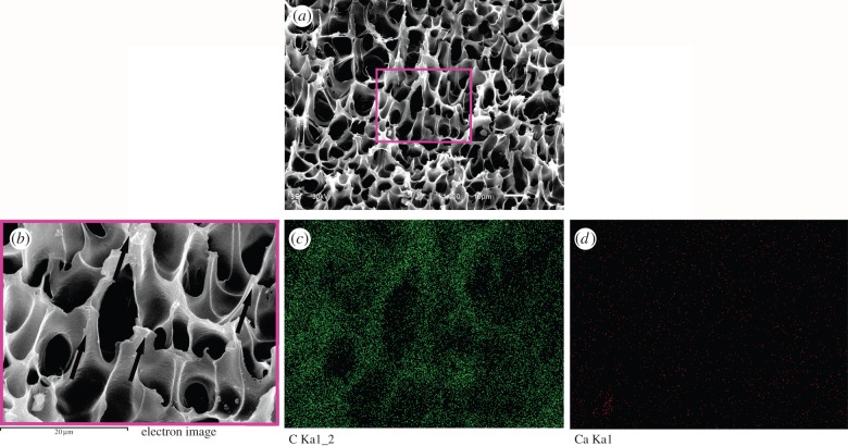 Figure 3.