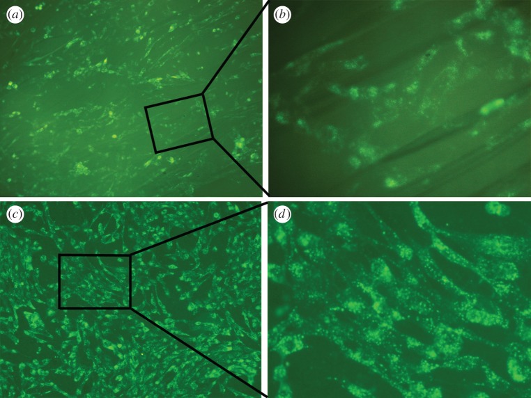 Figure 5.