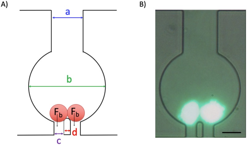 FIG. 2.