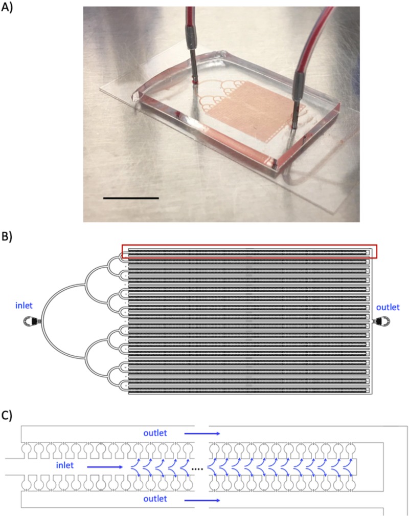 FIG. 1.