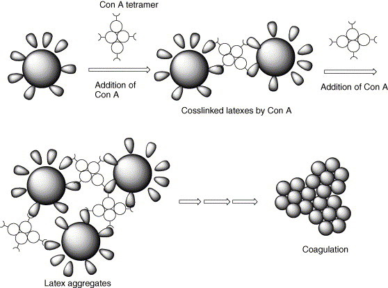 Scheme 3