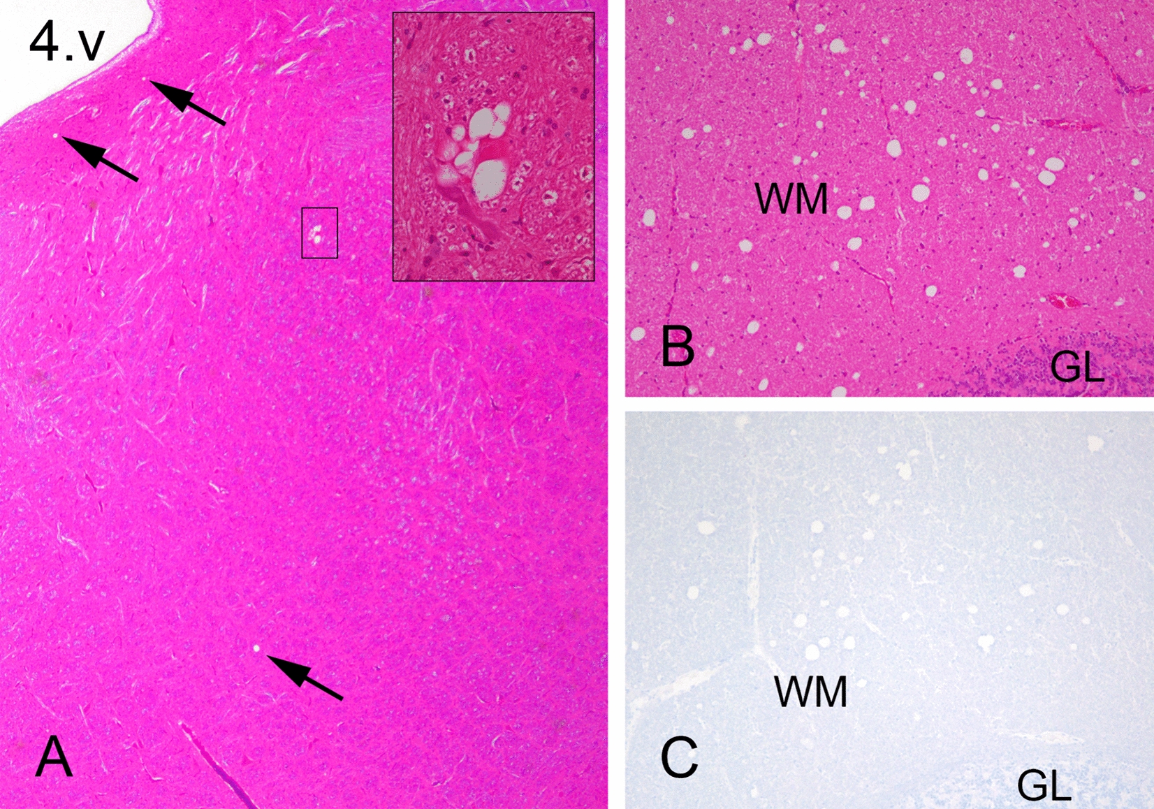 Figure  1