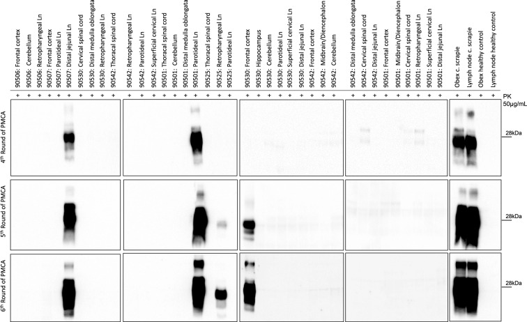 Figure  3