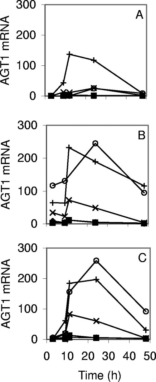 FIG. 7.