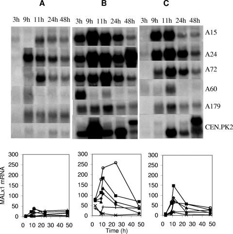 FIG. 6.