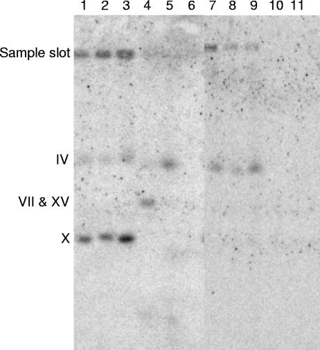 FIG. 5.