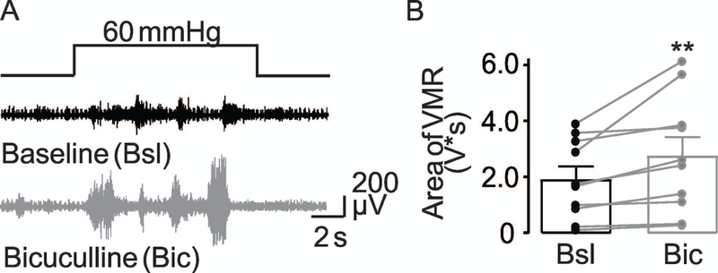 Figure 11.