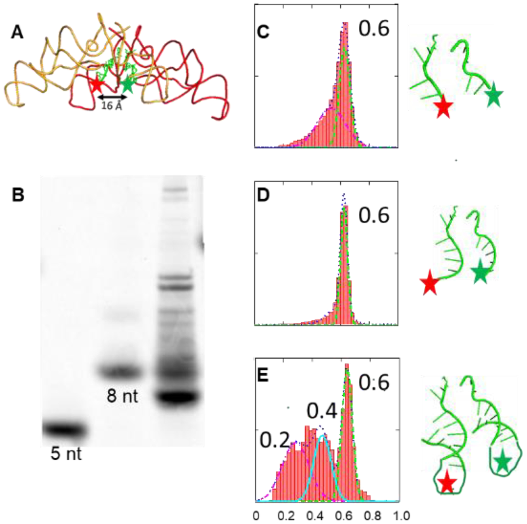 Figure 6.