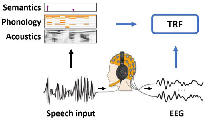 Figure 2: