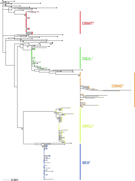 Fig. 6.